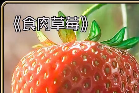 为什么说草莓吃蚯蚓