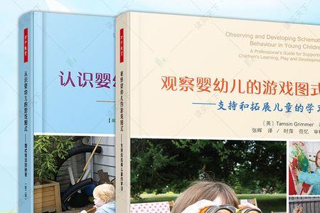 儿童图式的发展规则包括