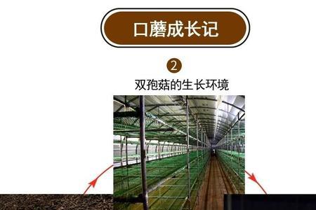 三月末有口蘑吗