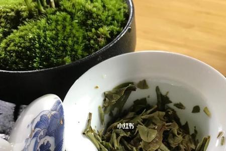 一青一白的意思