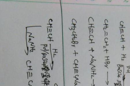 酯基在酸性与碱性条件的方程式
