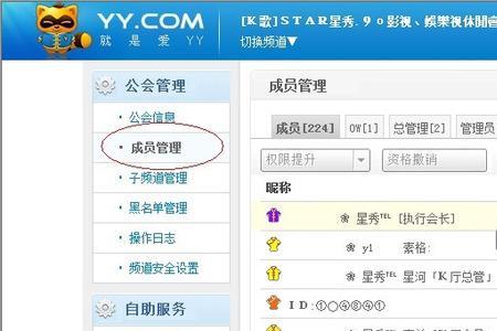 yy公会有什么好处与坏处
