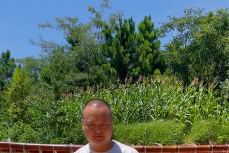 红烧风干鸡正宗做法