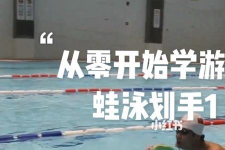 蛙泳划手次数