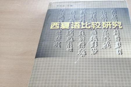 西夏的官方语言是什么