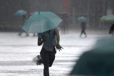 一个雨加个住念什么