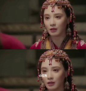 东宫女主阿翁是什么族