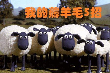 男人喜欢薅羊毛是什么心理