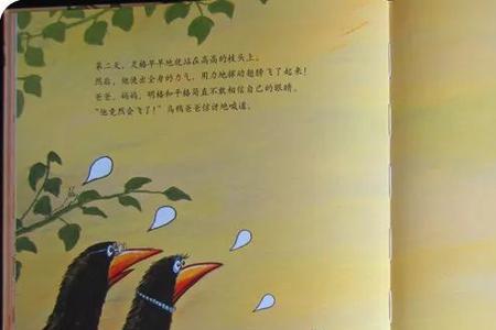 遭乌鸦劫持的梗概内容
