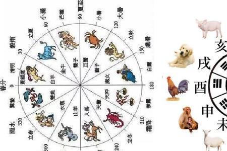 与狼共舞比喻什么生肖