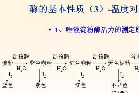 酶的总活力怎么求