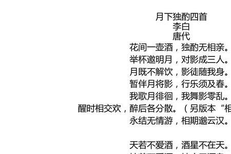 花间一壶酒李白出装