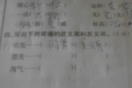 停息的反义词