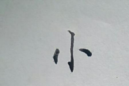 岁毛笔繁体字怎么写
