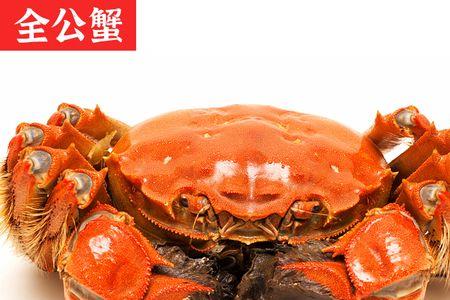 四两公蟹多大