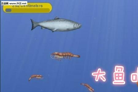 为什么小鱼咬大鱼