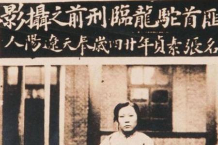 张素贞结局