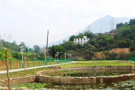 人工湿地一般面积