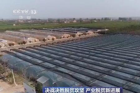 因地制宜发展特色产业的意义