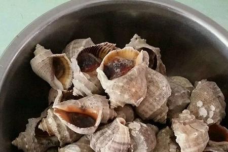 海螺有味了还能吃吗