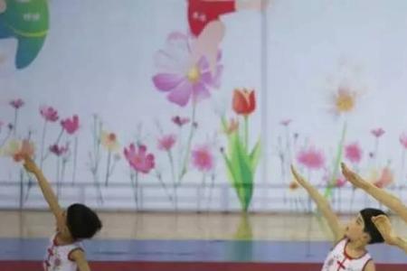 幼儿园体操奖项名称
