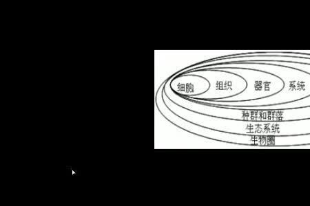 什么是生命系统