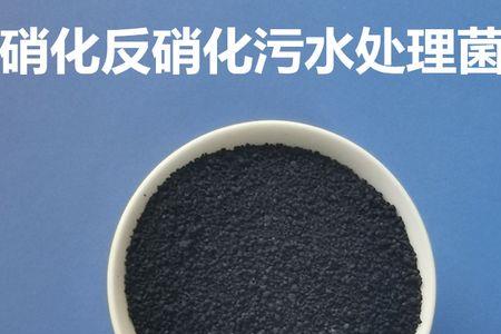 硝化细菌和芽孢杆菌的区别