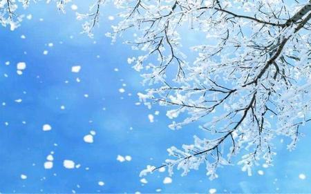 一冬无雪有什么预兆