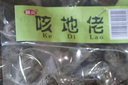 地橄榄别名