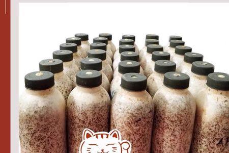 玉米芯种蘑菇为啥要泡石灰水