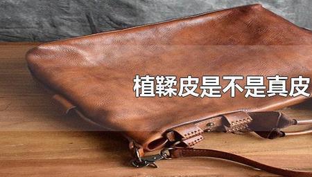 野牛皮是植鞣革吗