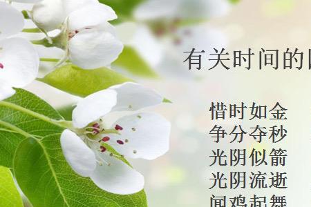 形容一个人不珍惜现在的词语