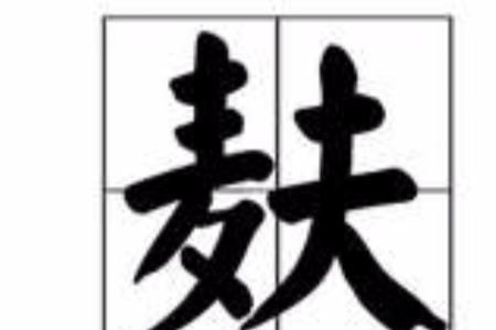 麸的读音是什么