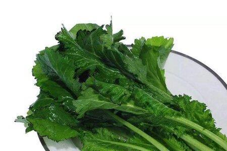 芥菜和甜菜有什么区别