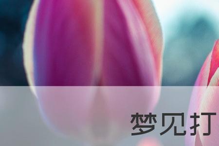 骂人引起打架怎么处理