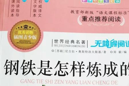 钢铁是怎样炼成保尔的优缺点