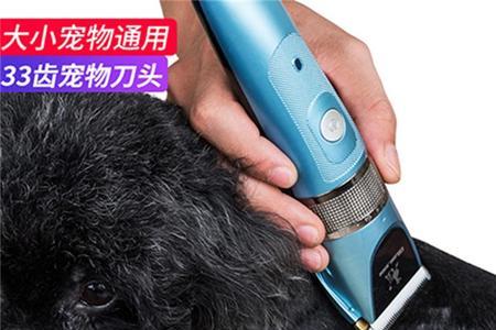 儿童电推子可以给泰迪剪毛吗