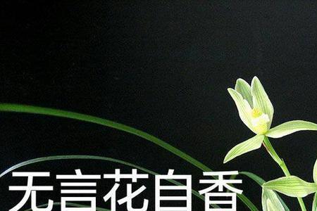 从容淡定的成语