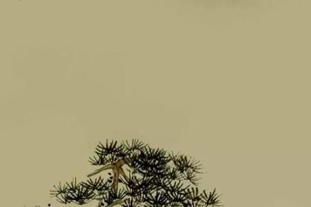 事来心去事走心止是什么意思