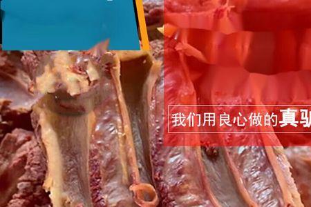 驴肉和螺肉哪种好吃