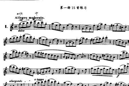 长笛和钢琴哪个难