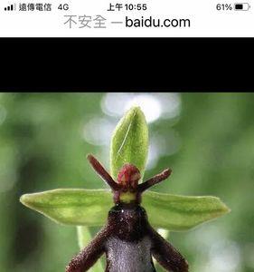 什么植物像有生命