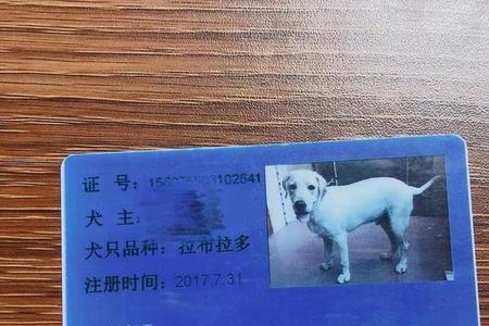 东莞养狗要办狗证吗