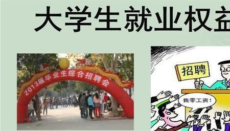 社会保护的主体