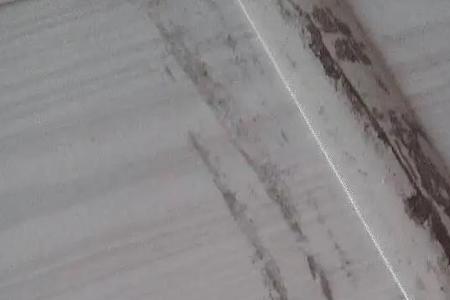 胶带撕掉后黏黏的怎么去除蚂蚁