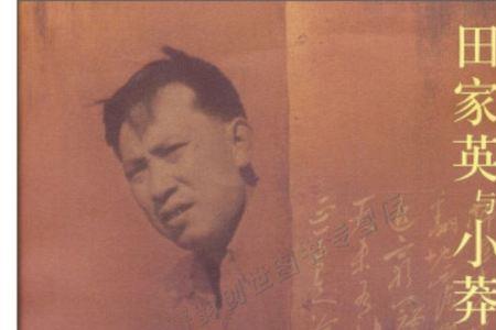 小莽崽什么意思