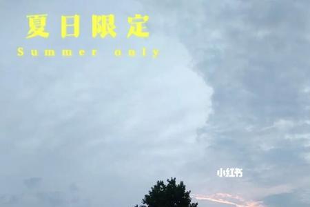 夏日限定是什么意思