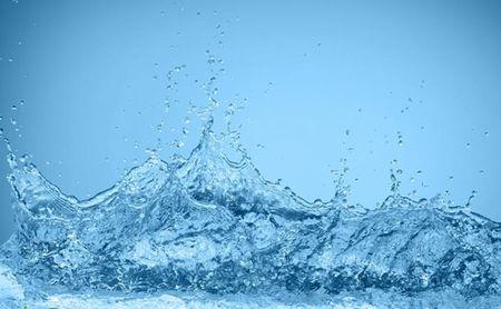 水种是什么意思