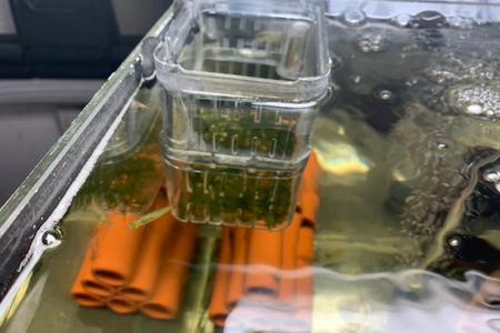 鱼缸过滤产生好多白色泡沫