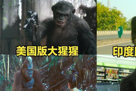 大奇葩的意思